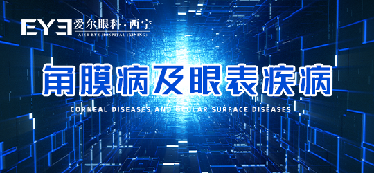 1-230204100G6355.png