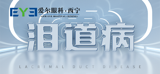 1-230204101T5456.png